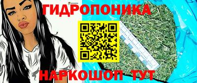молекула духа Малоярославец