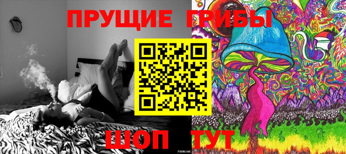 Псилоцибиновые грибы Psilocybine cubensis Улан-Удэ
